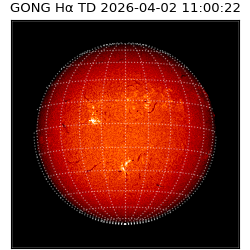 gong - 2026-04-02T11:00:22
