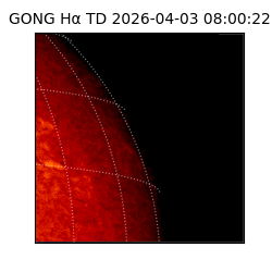 gong - 2026-04-03T08:00:22