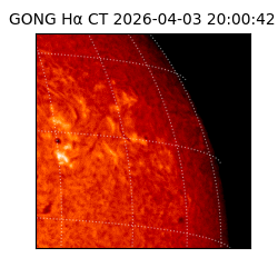 gong - 2026-04-03T20:00:42