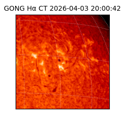 gong - 2026-04-03T20:00:42