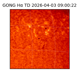 gong - 2026-04-03T09:00:22