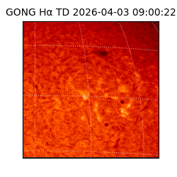 gong - 2026-04-03T09:00:22