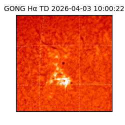 gong - 2026-04-03T10:00:22