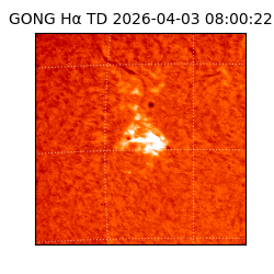 gong - 2026-04-03T08:00:22