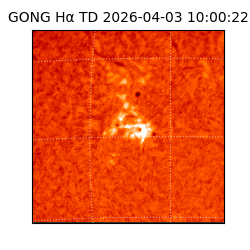 gong - 2026-04-03T10:00:22