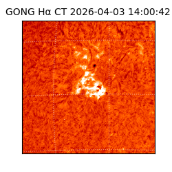 gong - 2026-04-03T14:00:42