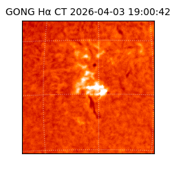 gong - 2026-04-03T19:00:42