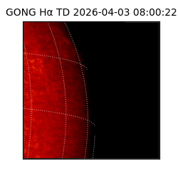 gong - 2026-04-03T08:00:22