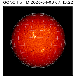 gong - 2026-04-03T07:43:22