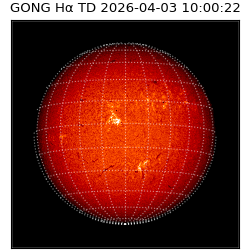 gong - 2026-04-03T10:00:22