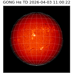 gong - 2026-04-03T11:00:22