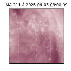 saia - 2026-04-05T08:00:09.631000