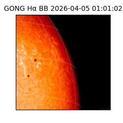 gong - 2026-04-05T01:01:02