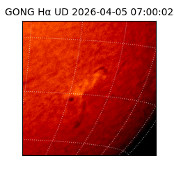 gong - 2026-04-05T07:00:02