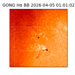 gong - 2026-04-05T01:01:02