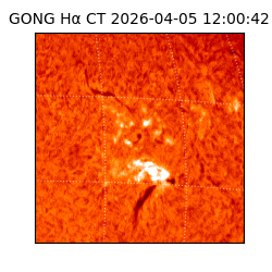 gong - 2026-04-05T12:00:42