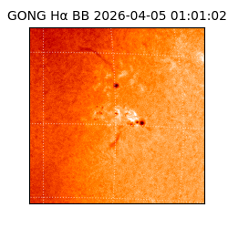 gong - 2026-04-05T01:01:02