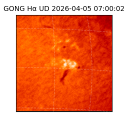 gong - 2026-04-05T07:00:02