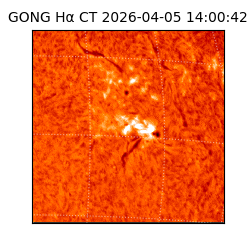 gong - 2026-04-05T14:00:42