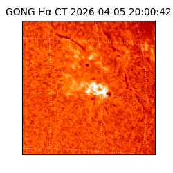 gong - 2026-04-05T20:00:42