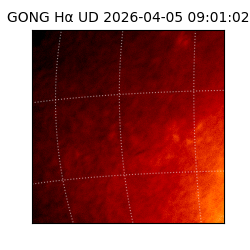 gong - 2026-04-05T09:01:02