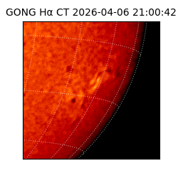 gong - 2026-04-06T21:00:42