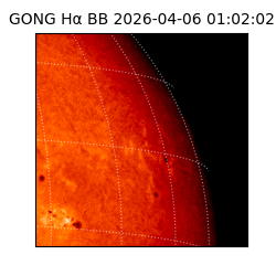 gong - 2026-04-06T01:02:02