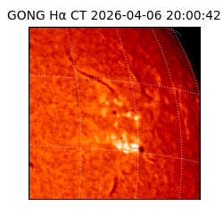 gong - 2026-04-06T20:00:42