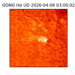 gong - 2026-04-06T03:00:02