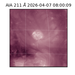 saia - 2026-04-07T08:00:09.624000