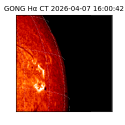 gong - 2026-04-07T16:00:42