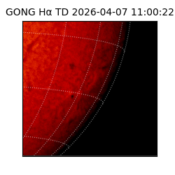 gong - 2026-04-07T11:00:22