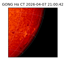 gong - 2026-04-07T21:00:42