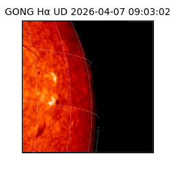 gong - 2026-04-07T09:03:02