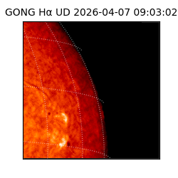 gong - 2026-04-07T09:03:02
