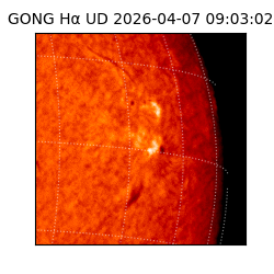 gong - 2026-04-07T09:03:02