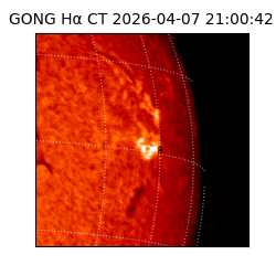 gong - 2026-04-07T21:00:42