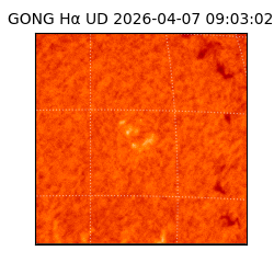gong - 2026-04-07T09:03:02