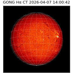 gong - 2026-04-07T14:00:42