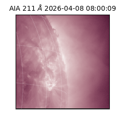 saia - 2026-04-08T08:00:09.623000