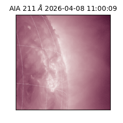 saia - 2026-04-08T11:00:09.624000