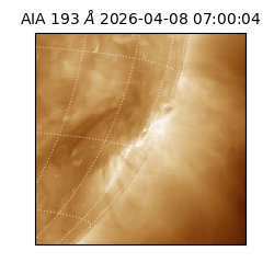 saia - 2026-04-08T07:00:04.845000