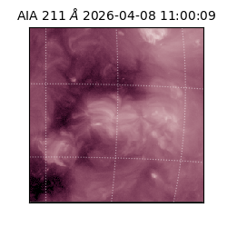 saia - 2026-04-08T11:00:09.624000