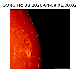 gong - 2026-04-08T01:00:02