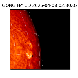 gong - 2026-04-08T02:30:02