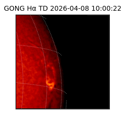 gong - 2026-04-08T10:00:22