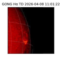 gong - 2026-04-08T11:01:22