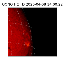 gong - 2026-04-08T14:00:22