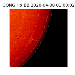 gong - 2026-04-08T01:00:02