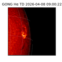gong - 2026-04-08T09:00:22